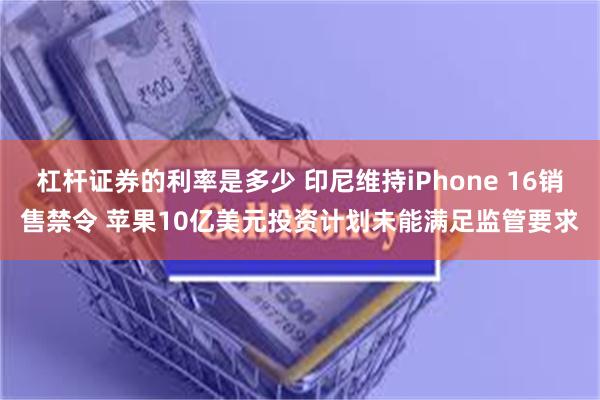 杠杆证券的利率是多少 印尼维持iPhone 16销售禁令 苹果10亿美元投资计划未能满足监管要求