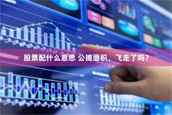 股票配什么意思 公摊面积，飞走了吗？