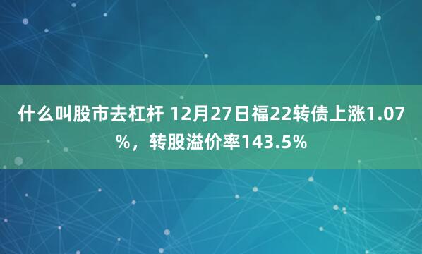 什么叫股市去杠杆 12月27日福22转债上涨1.07%，转股溢价率143.5%