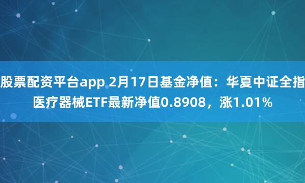 股票配资平台app 2月17日基金净值：华夏中证全指医疗器械ETF最新净值0.8908，涨1.01%