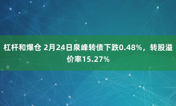 杠杆和爆仓 2月24日泉峰转债下跌0.48%，转股溢价率15.27%